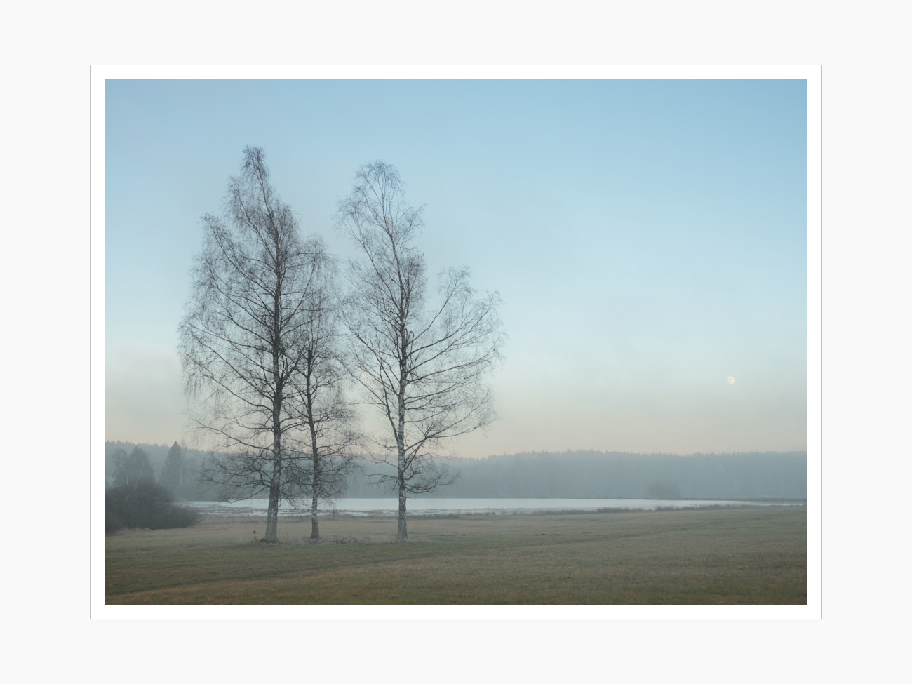 Max Schiefele Alle Bilder  DSF4469